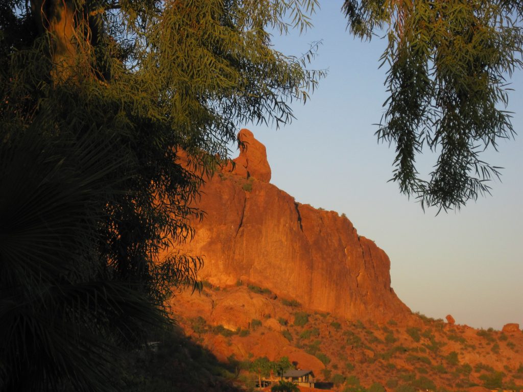 A mountain viewed through tree branches - one of Coach Joan Jakel's favorite places to meditate is in the presence of nature.